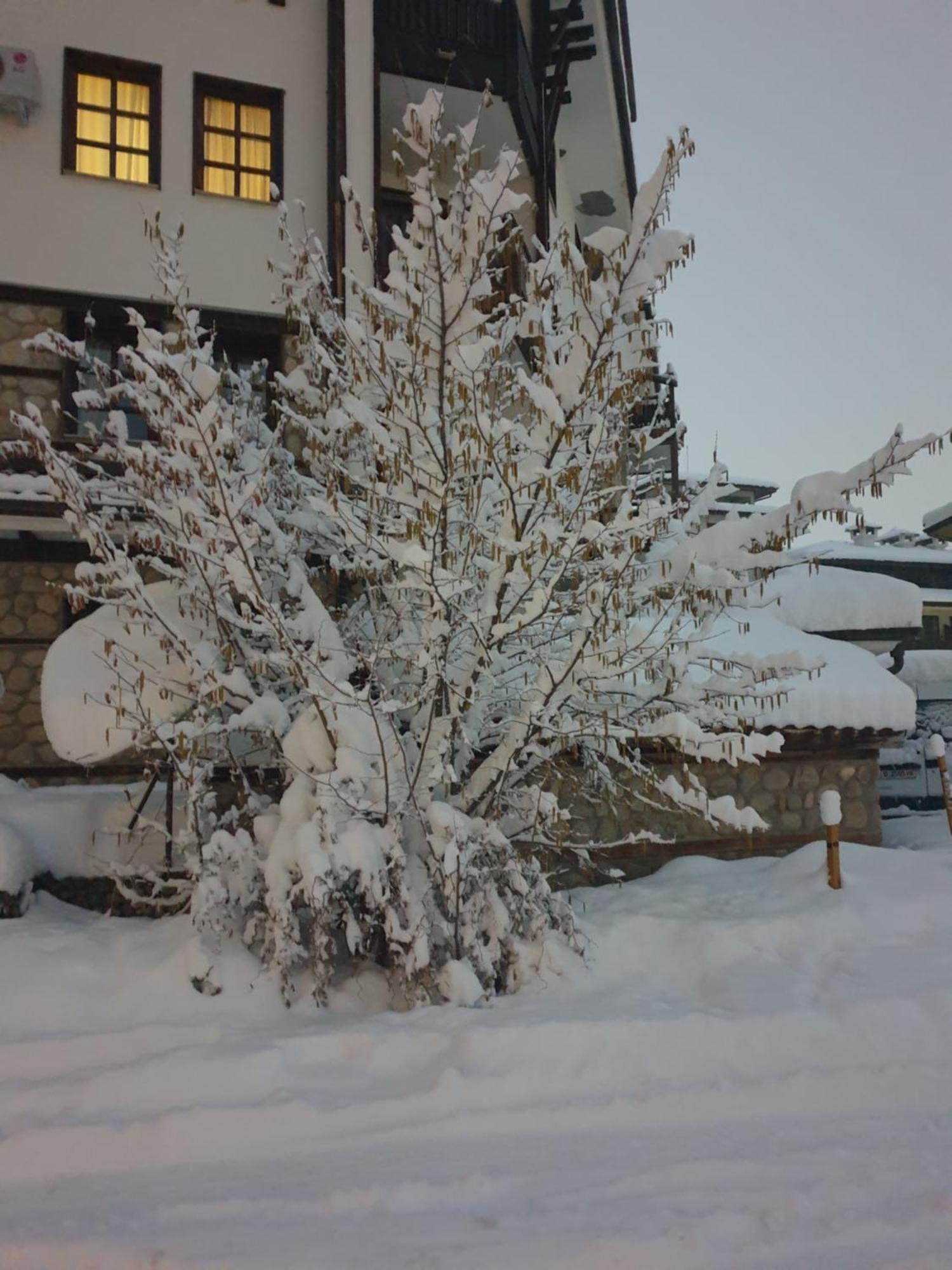 Dream Apart Hotel 207 Bansko Rom bilde