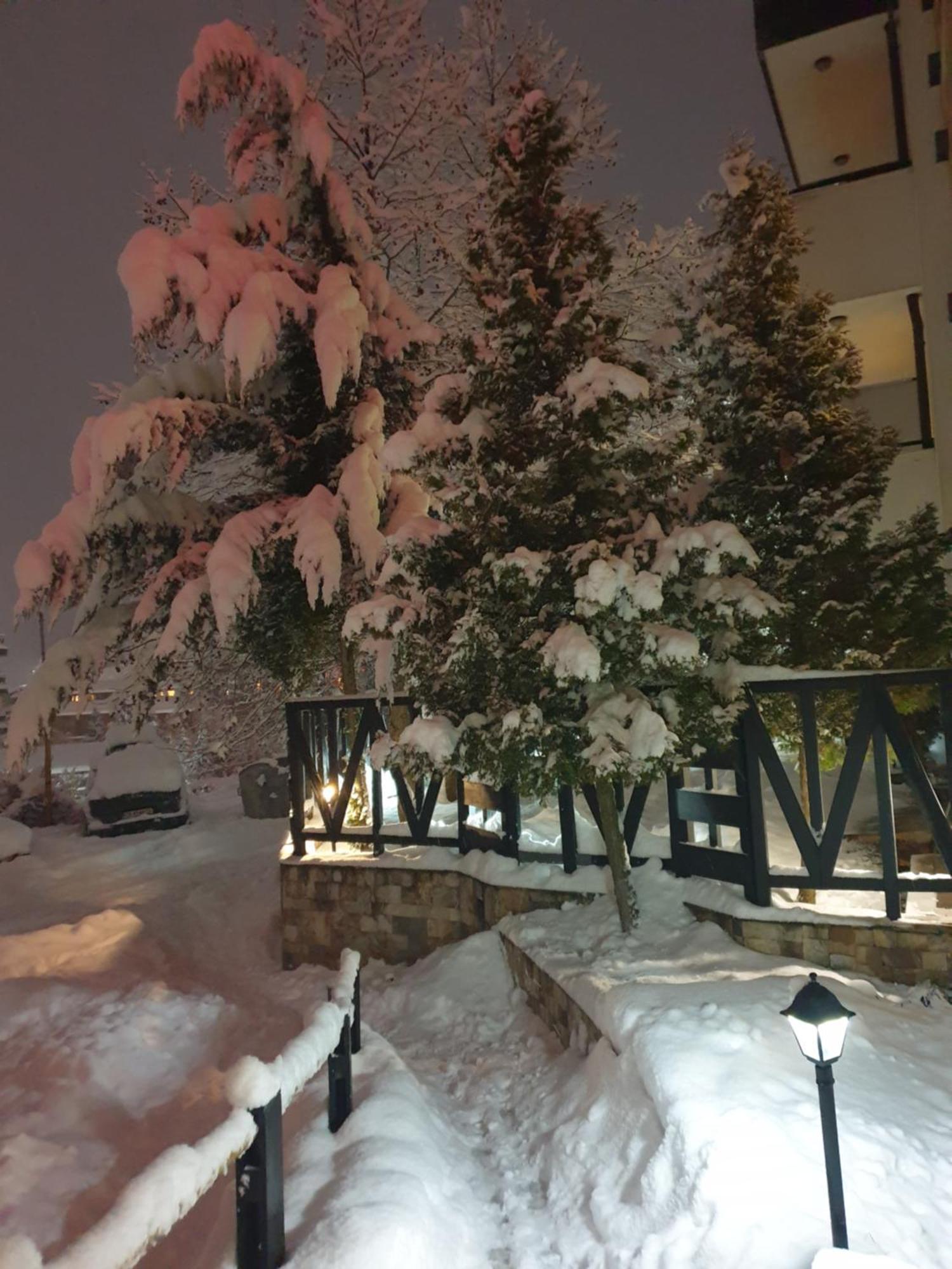 Dream Apart Hotel 207 Bansko Rom bilde